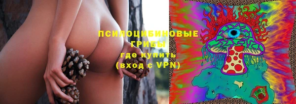 сатива Нея