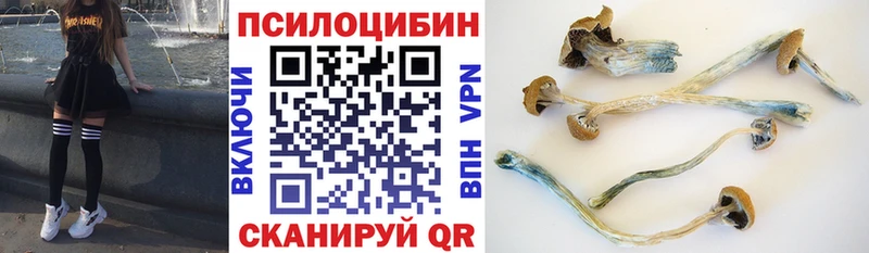 Псилоцибиновые грибы Psilocybe  Южа 